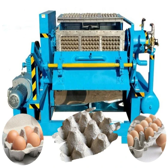 electric-egg-tray-machines-2.webp