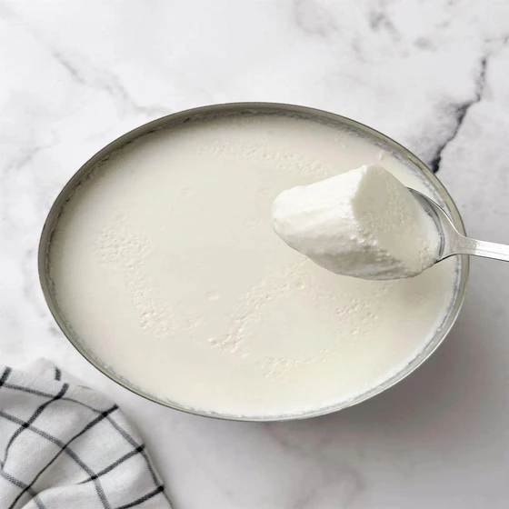 fresh-healthy-dairy-curd-2.webp