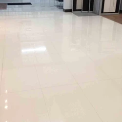 Polished Porcelain Tiles