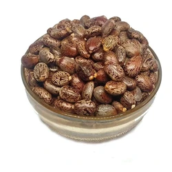 Organic Castor Seeds