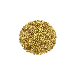 Coriander Pure Seed — Green And Yellow Hot Spicy