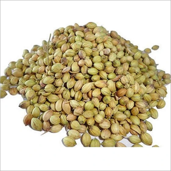 coriander-natural-seeds-2.webp