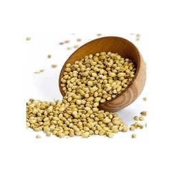 Coriander Natural Seeds