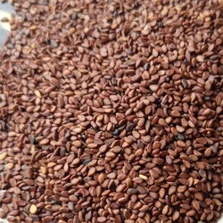 Sesame Brown Seeds