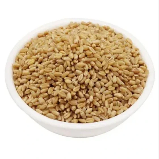 healthy-wheat-grain-2.webp