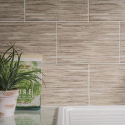 Ceramic Wall Tiles