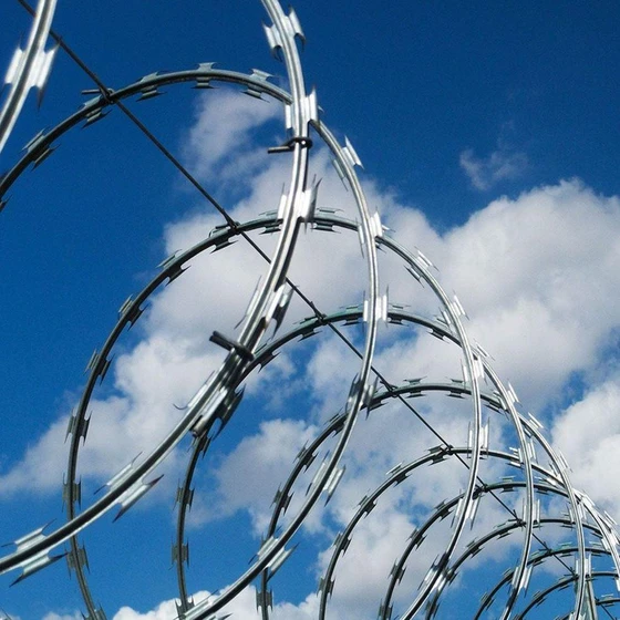 razor-concertina-wire-2.webp