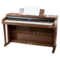Digital Pianos Keyboards