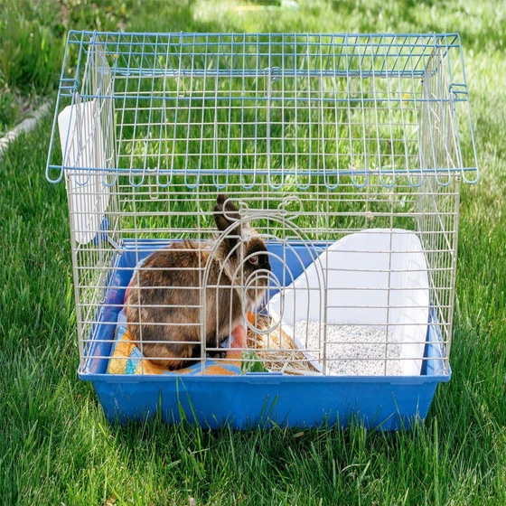 blue-rabbit-cages-2.webp