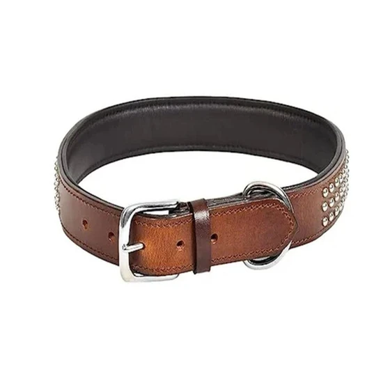 brown-pet-collar-1.webp