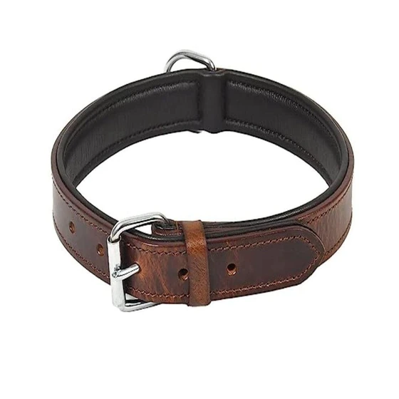 brown-pet-collar-2.webp