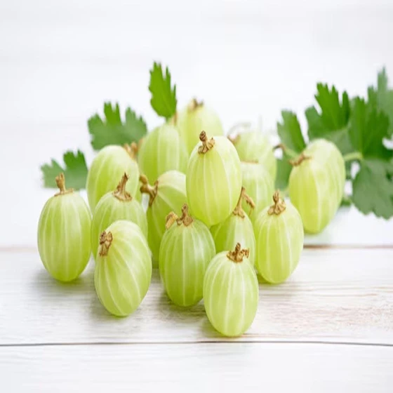 fresh-organic-amla-2.webp