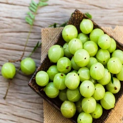 Fresh Organic Amla
