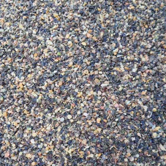 akhari-cattle-feed-2.webp