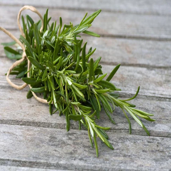 natural-rosemary-herb-2.webp