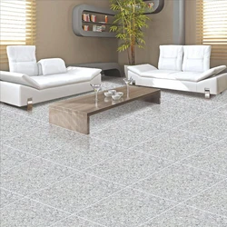 Double Charge Vitrified Tiles