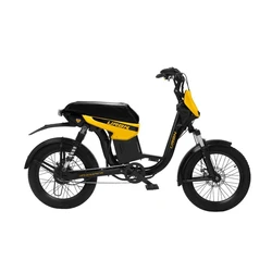 Electric Cycle E-Bike
