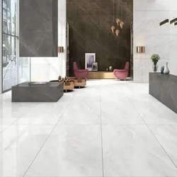 Polished Ceramic Tile