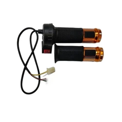 E Rickshaw Accelerator