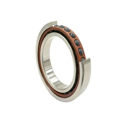Precision TPI Bearings