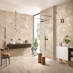 Porcelain Wall Tiles