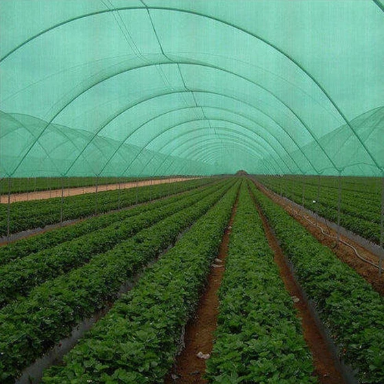 green-agriculture-net-2.webp