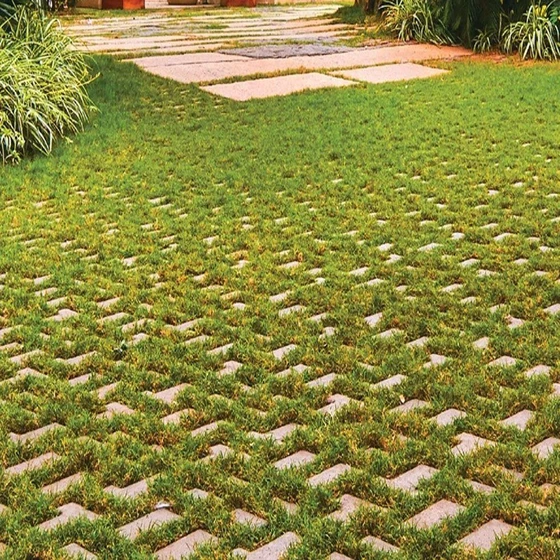 paver-grass-block-1.webp