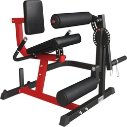 Curl Leg Machine