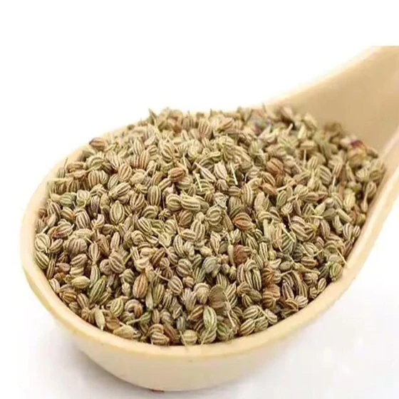 fresh-ajwain-seed-2.webp