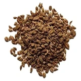 Fresh Ajwain Seed