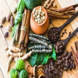 Herbal Ayurvedic Medicine