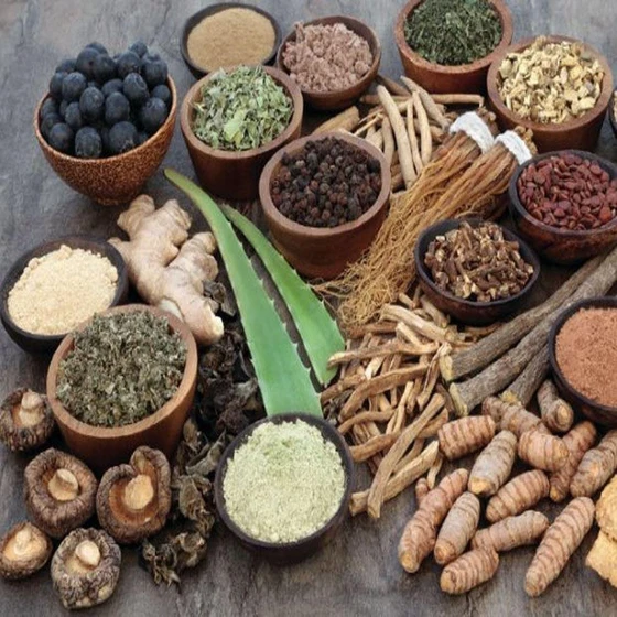 ayurvedic-ecofriendly-medicine-2.webp