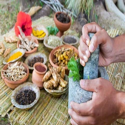 Ayurvedic Ecofriendly Medicine