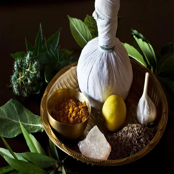 ayurvedic-natural-medicine-2.webp