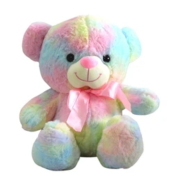 Multicolor Teddy Bear