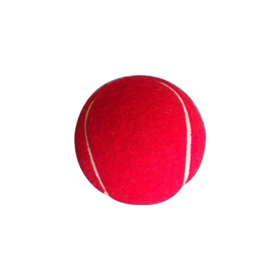 rubber-cricket-tennis-ball-2.webp
