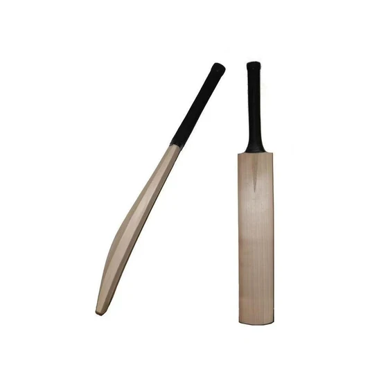 outdoor-cricket-bat-2.webp