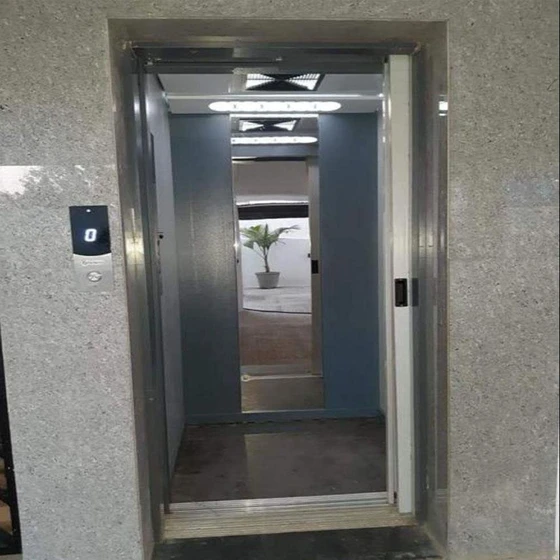 ss-passenger-lift-2.webp