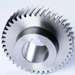 Stainless Steel Helical Gear