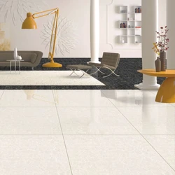 Double-Charge Vitrified Tiles — size 500x1200mm