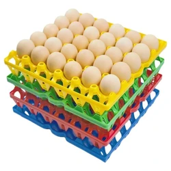 Plastic Egg Tray