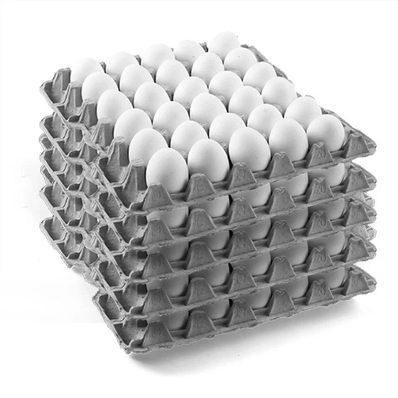 white-egg-tray-2.webp