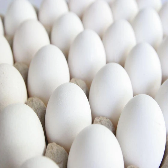 chicken-table-eggs-2.webp