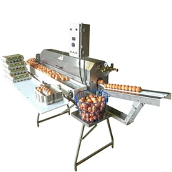 Eggs Washer Machine