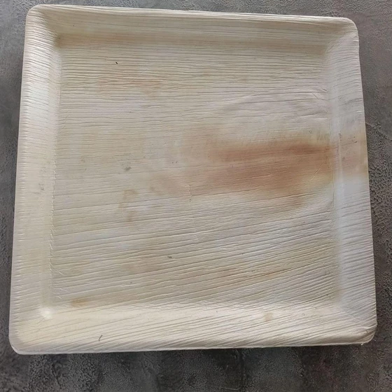 areca-leaf-tray-2.webp