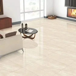 Nano Vitrified Tiles