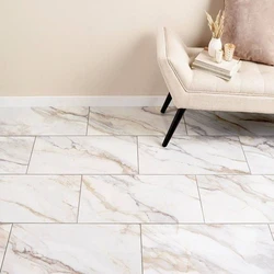 Polished Porcelain Tiles