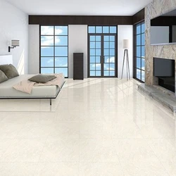 Double-Charge Vitrified Tiles