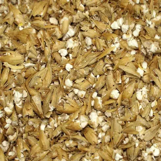 distillery-enzymes-2.webp