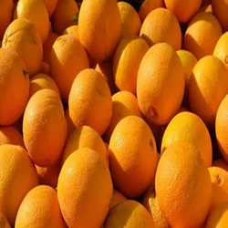 Fresh Natural Orange